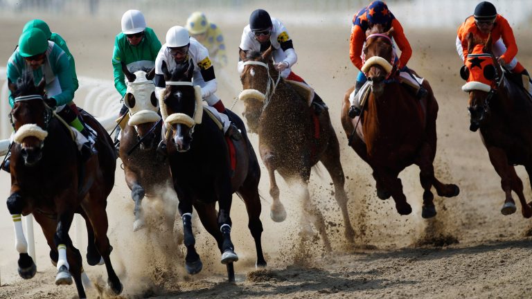 The Free Betfair Betting Exchange – Is Using it Better Than Going to the Horse races alone?